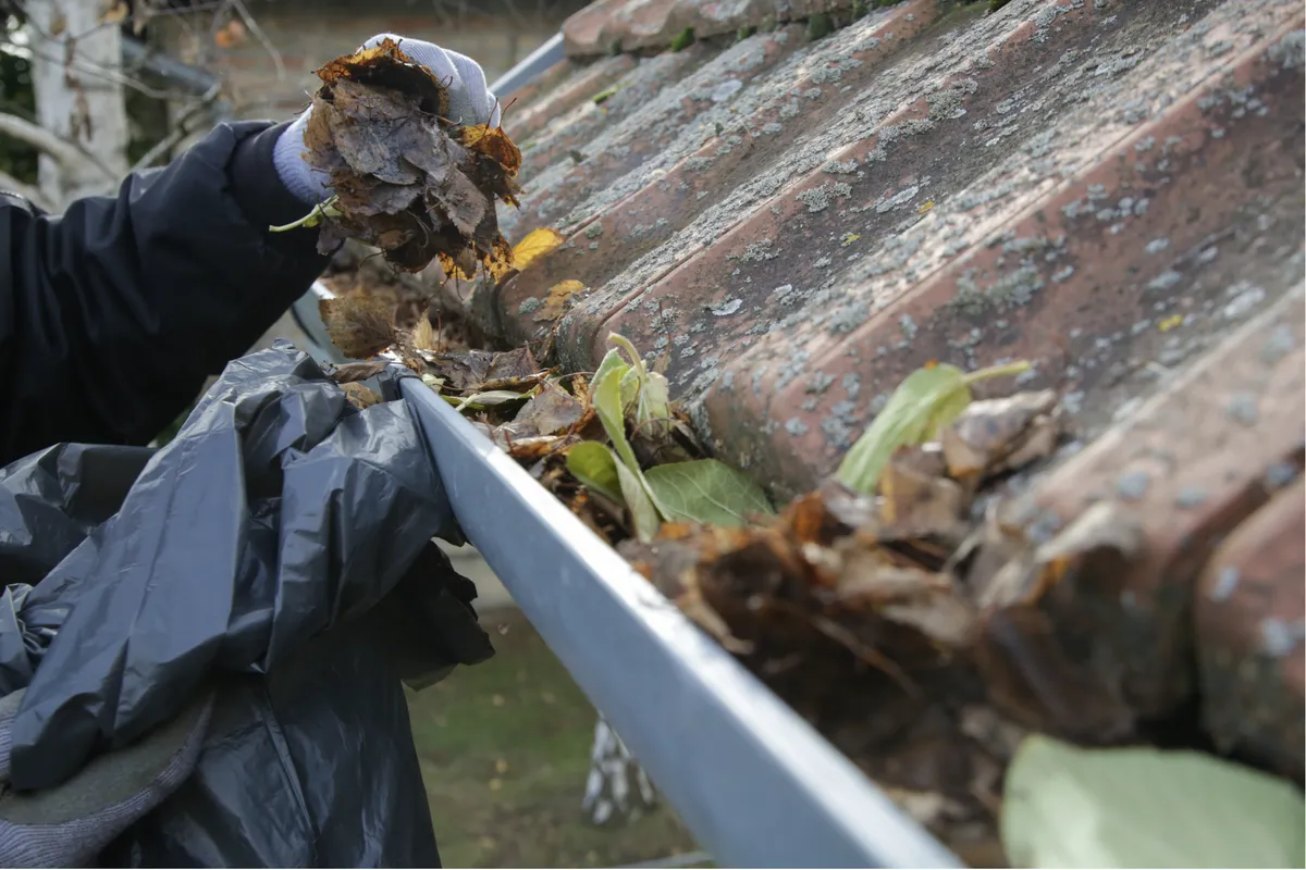 Bag of debris collected during professional gutter cleaning service