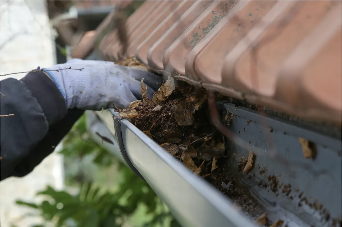 Close-up of debris removal during professional gutter cleaning